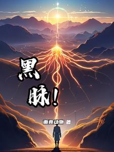 撼天全文免费阅读