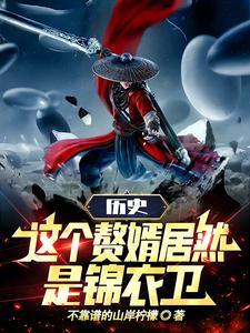 清穿之嫡长孙他太难了作者袂浅