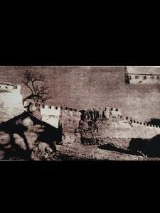 人生沉浮录免费阅读