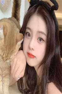 文豪野犬中也15岁多高