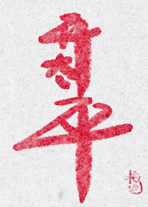 穿成了魔尊的妻主怎么办txt