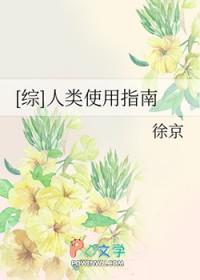 秦朝穿越手札txt