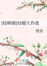 秦朝穿越手札TXT电子书