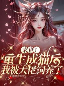 十一月中旬是什么时候