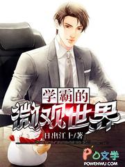 仕途风云阅读