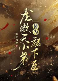 我听晚风免费阅读