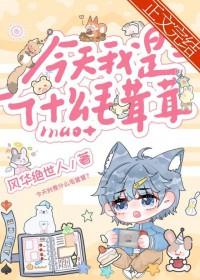 我成了新手村BOSS在线阅读