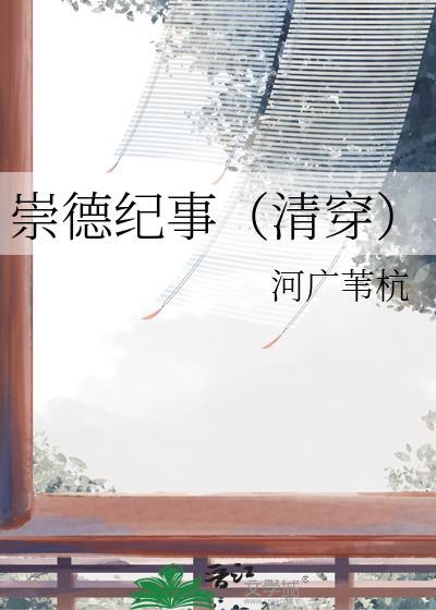 崇德纪事(清穿)