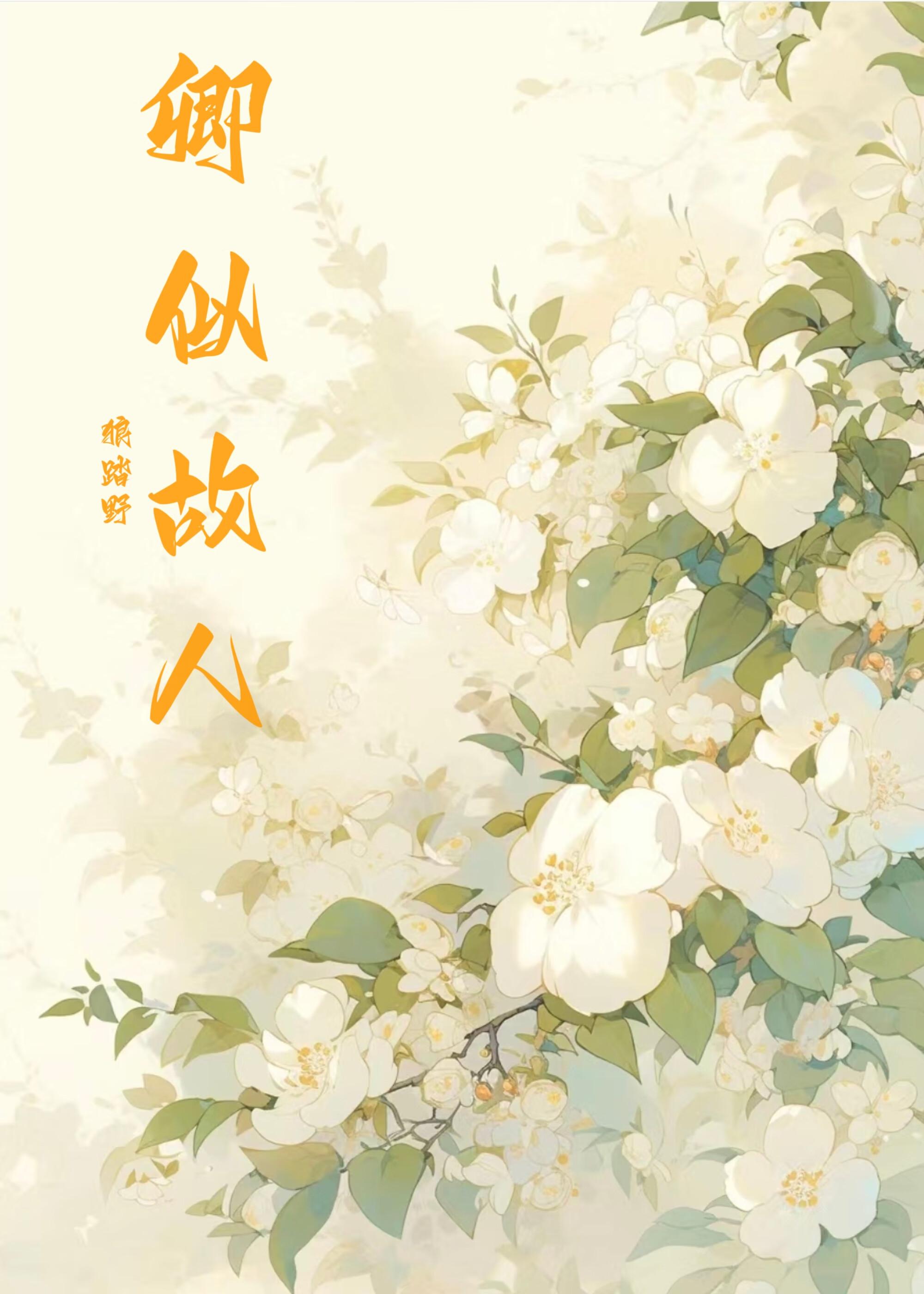 有味儿老舍读后感