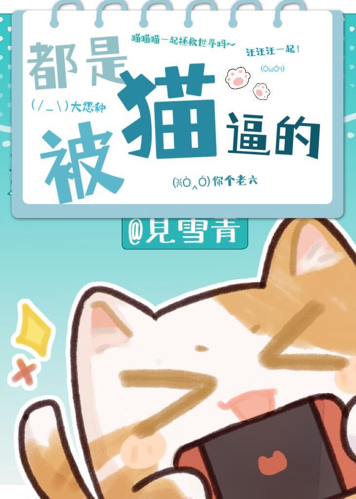 都是被猫逼的