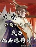大秦开局炸丹炉,我乃九品炼药师