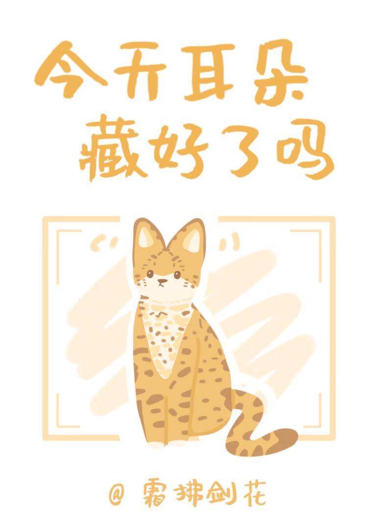 今天耳朵藏好了吗