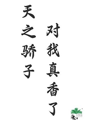 俏媳辣当家石磊