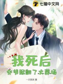 叶风叶紫灵全文阅读