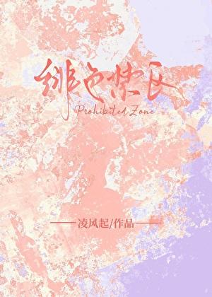 绯色禁区[追妻]