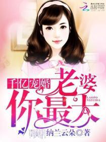 携宝追妻老婆大人哪里逃免费阅读