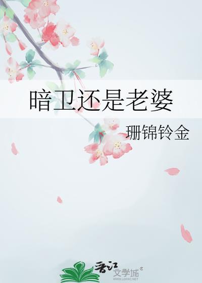 暗卫还是老婆