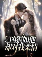 萧长风是什么电视剧