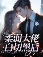 我当包租公的日子叶然