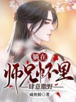 沈顾年徐朝安