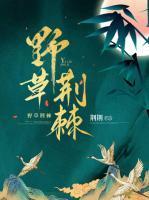 沈娇苍措