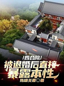 公主嫁到昭阳恢复身份是哪一集