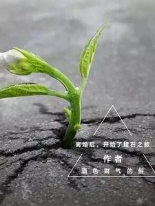 躺平赘暴富指南gl