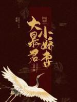 宋卿卿南宫伏羲